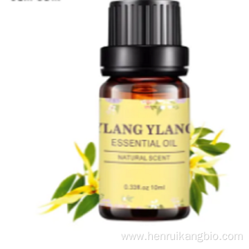 Factory price CAS8006-81-3 Ylang Oil for Health Promotion